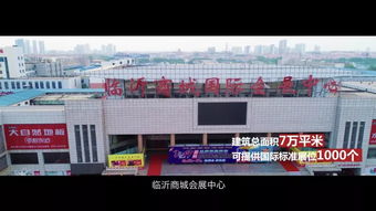 选择临沂 和你一起精彩绽放