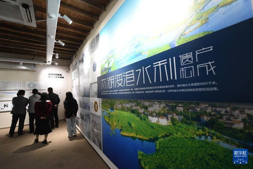 水清岸绿民富 绿色太湖谱新篇——新时代长三角区域文化场馆管理服务的创新实践